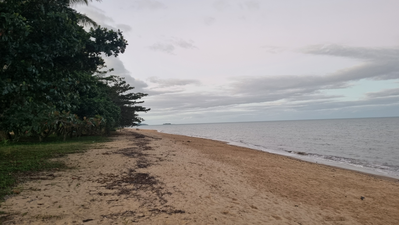 King Reef North