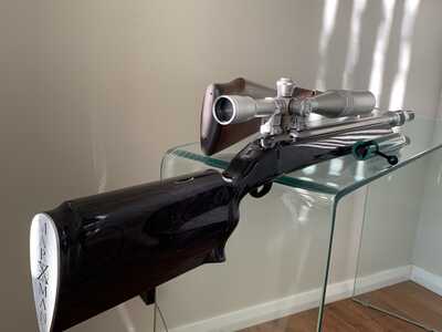 IMG 1456 IMG 1456